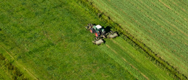 Foto: Siebe Swart/Hollandse Hoogte