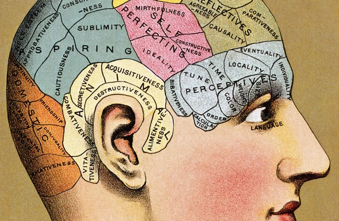 Gekleurde litho van een phrenologiehoofd. Beeld: Corbis