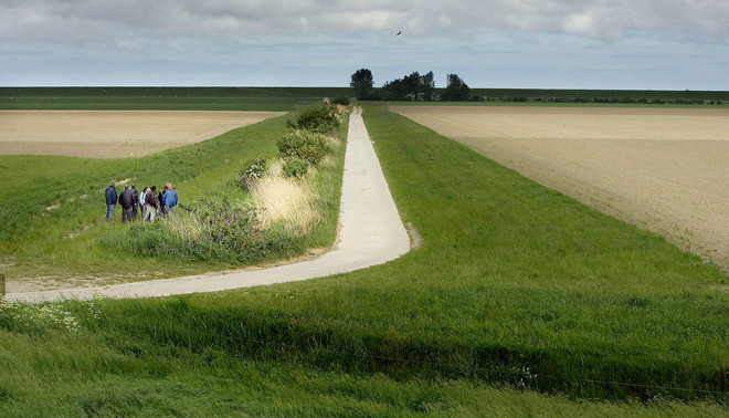 De provincie Groningen subsidieert boeren om de akkers langs hun randen te voorzien van gevarieerde vegetatie, wat het nestelen van bijzondere vogels weer ten goede komt. Foto: Reyer Boxem / HH