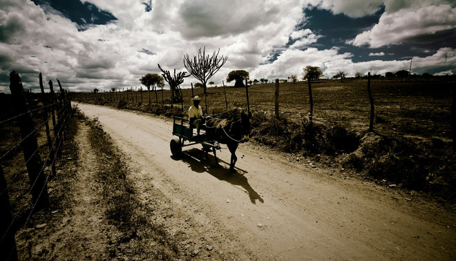 Een boer trekt door de sertão. Foto: Hollandse Hoogte