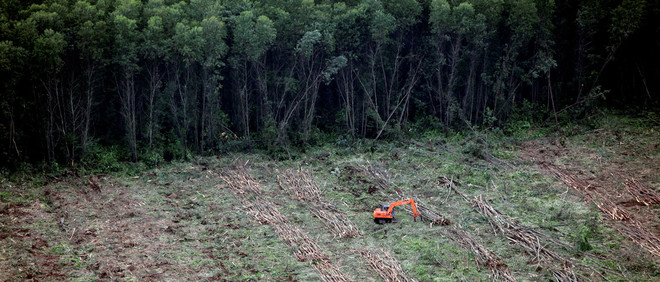 Een graafmachine verplaatst omgehakte bomen voor de productie van papier én om plek te maken voor een palmolie plantage. Sumatra, Indonesië. Foto: Donang Wahyu / HH