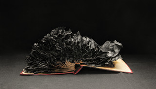 by Lynne Brouwer for De Correspondent