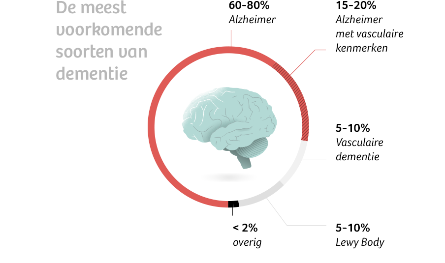 Dementie Lift mee met dé kenners van het Grote Vergeten De Correspondent