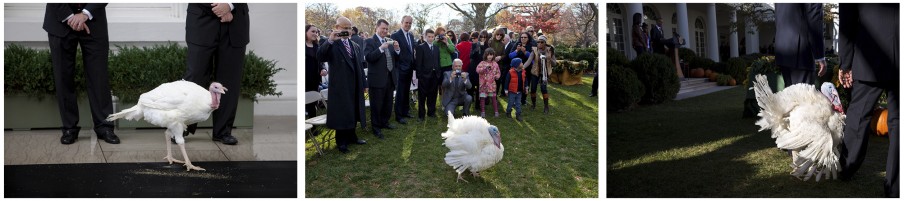 3 jaar Thanksgiving in het Witte Huis. Foto’s: Pete Souza/the White House