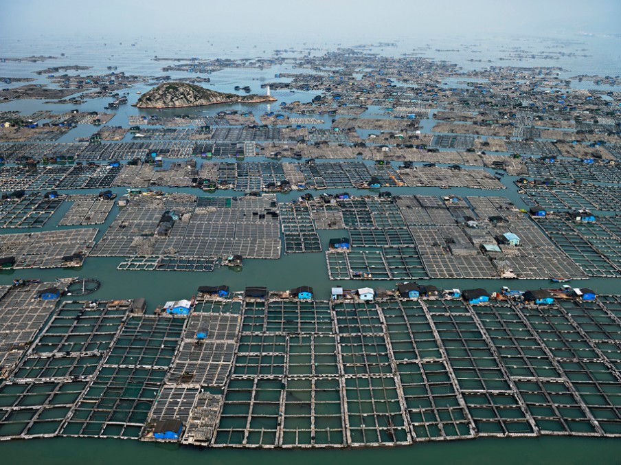 Marine Aquaculture #1, Lucyuan Bay, Fujian Province, China, 2012. Foto: Edward Burtynsky