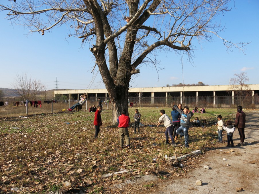 Kinderen hebben schommels gemaakt aan een boom in het kamp. Foto: Maite Vermeulen