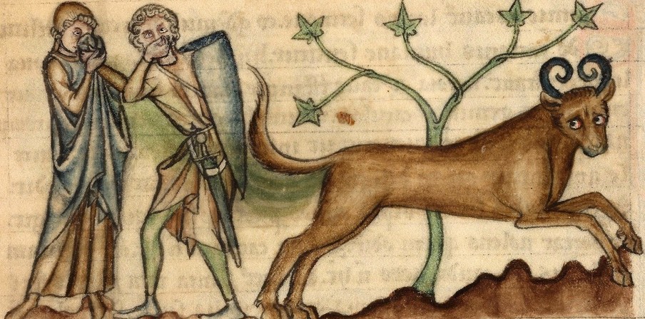 Het runderachtige fabeldier ‘de bonnacon’ was berucht om zijn scheten. Het ontvluchtte jagers door al schetende bomen en struiken in de hens te zetten.