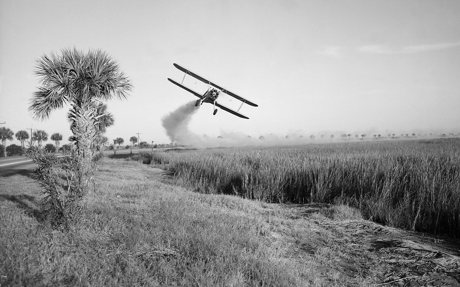 Een vliegtuig bespuit het land met een insecticide om eventuele malaria onder controle te houden, Georgië, 1973. Foto: Smith Collection / Gado / Getty Images
