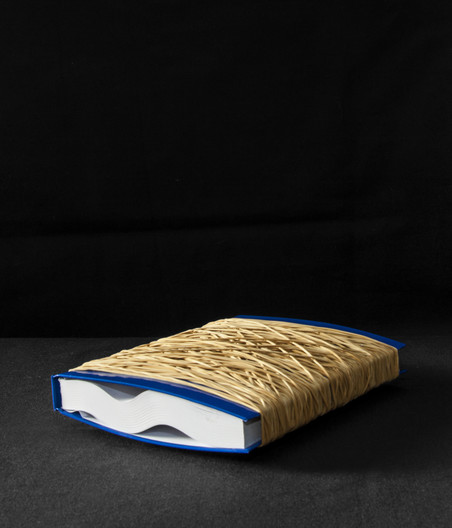 by Lynne Brouwer for De Correspondent