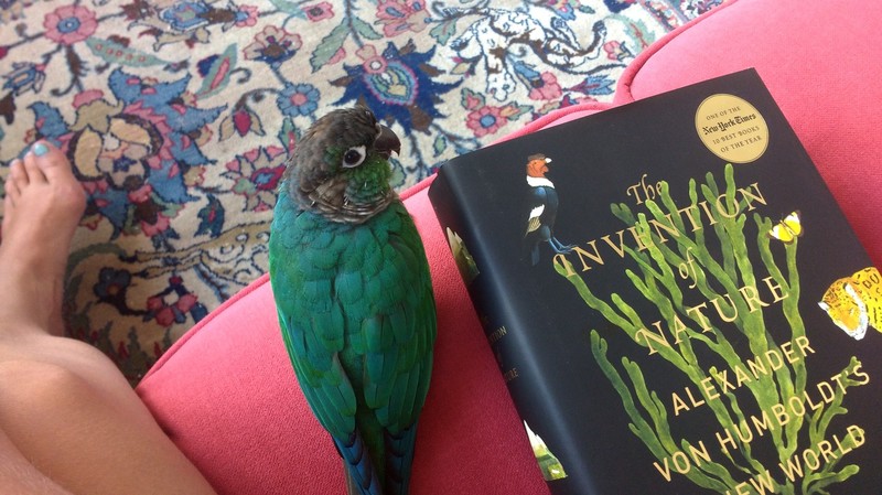 Ik zit nu midden in m’n minicrush op vergeten multitalent Alexander von Humboldt (1769-1859), dankzij The Invention of Nature van Andrea Wulf.